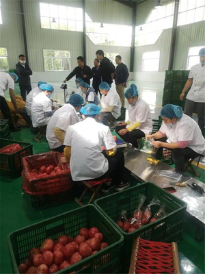 玉皇廟鎮(zhèn)中匯中央廚房攜手美團(tuán)開展市場調(diào)研，開啟數(shù)字化餐飲新篇章