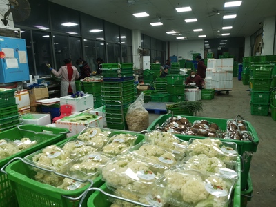 凌晨的繁忙 200噸“菜籃子”高效分揀發(fā)運長沙各大商超