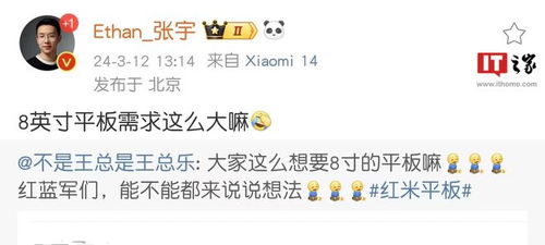 小米8英寸小平板市場(chǎng)調(diào)研與開(kāi)發(fā)前景分析