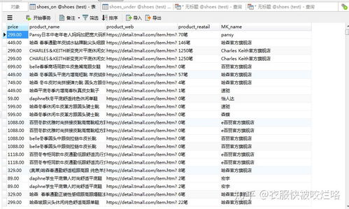 女鞋市場(chǎng)調(diào)查技術(shù)咨詢 洞察趨勢(shì)與優(yōu)化決策
